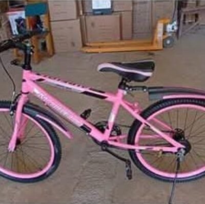 Bicicletas Todoterreno de 22 Pulgadas